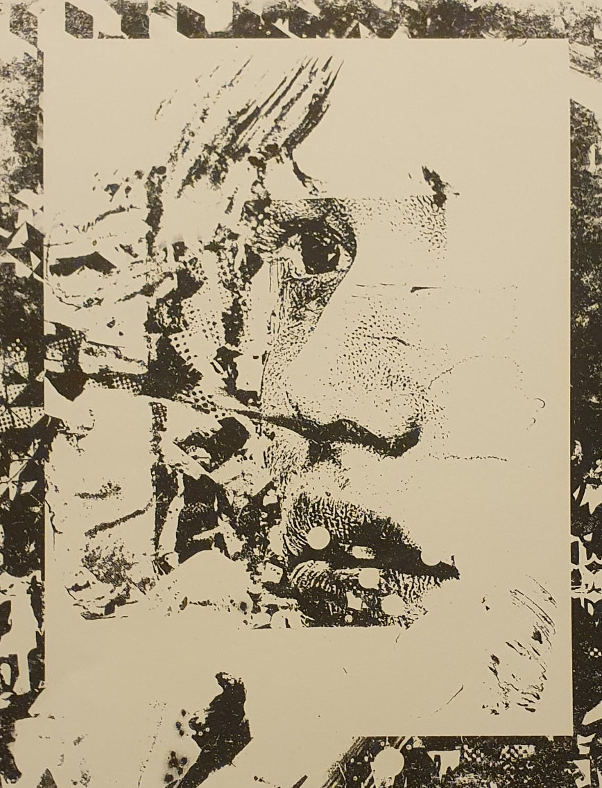 Vhils - Deplete, serigrafia