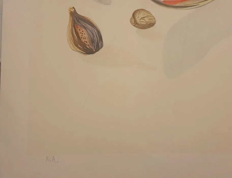 "Ship and Fruits" de Salvado Dali