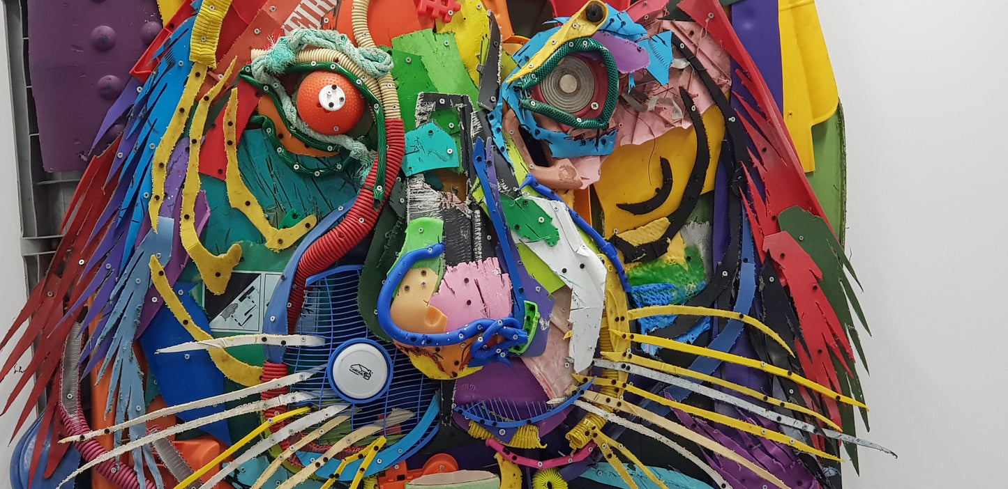 Tigre, Bordalo II